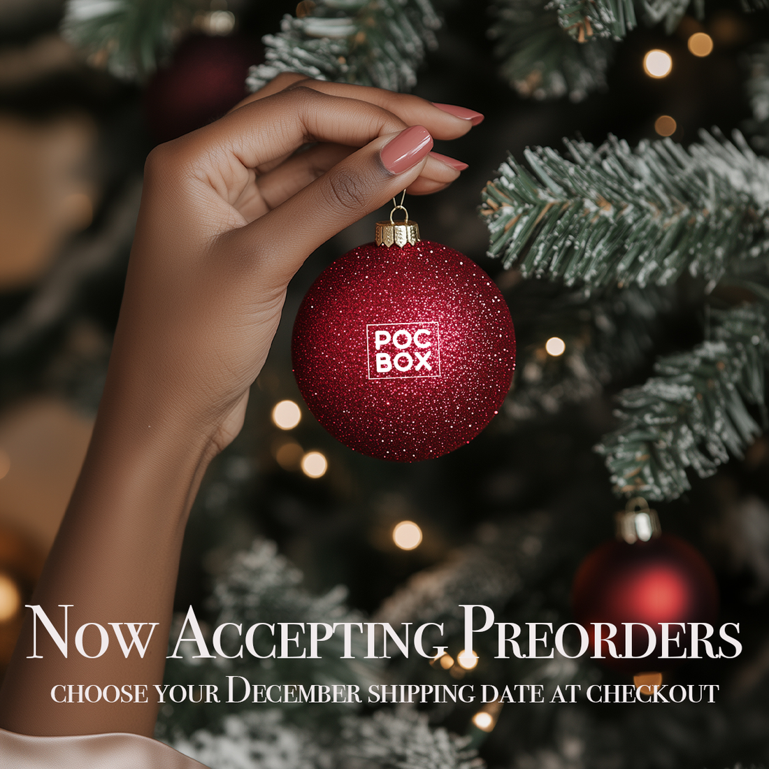 Holiday Collection